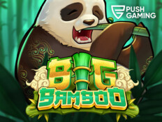 Bedava slot oyunları56